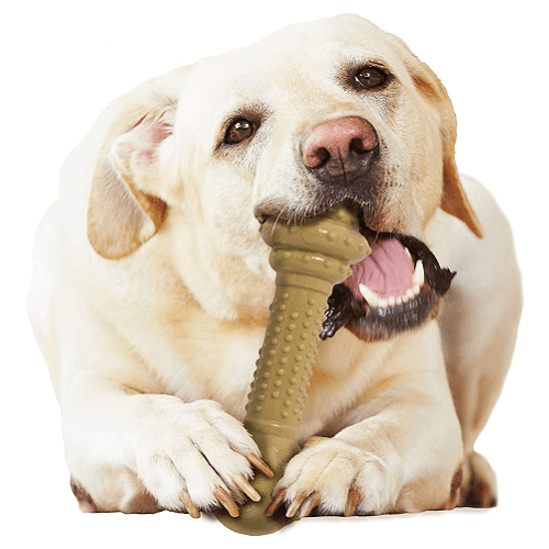 Dog Chew Toy - Power Chew - Durable Barbell (Peanut Butter Flavor) - J & J Pet Club - Nylabone