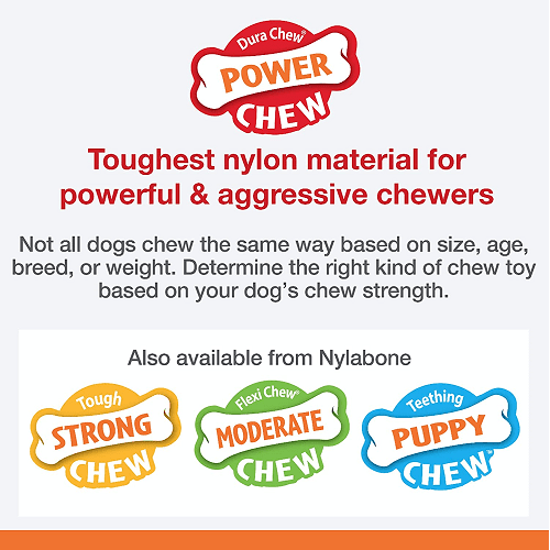 Dog Chew Toy - Power Chew - Durable Bone (Bacon Flavor) - J & J Pet Club - Nylabone