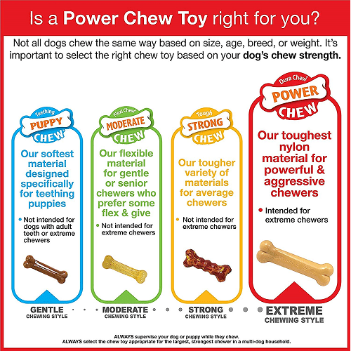 Dog Chew Toy - Power Chew - Flavor Frenzy Triple Pack (Chili Cheese Dog & Popcorn & Cherry) - J & J Pet Club - Nylabone
