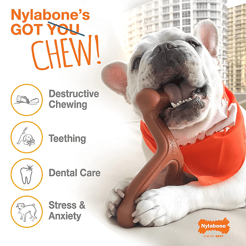 Dog Chew Toy - Power Chew - Wishbone (Original Flavor) - J & J Pet Club - Nylabone