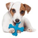 Dog Chew Toy - Power Chew - X Bone (Beef Flavor) - J & J Pet Club - Nylabone