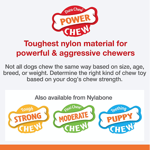 Dog Chew Toy - Power Chew - X Bone (Beef Flavor) - J & J Pet Club - Nylabone