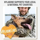 Dog Chew Toy - Power Chew - X Bone (Beef Flavor) - J & J Pet Club - Nylabone