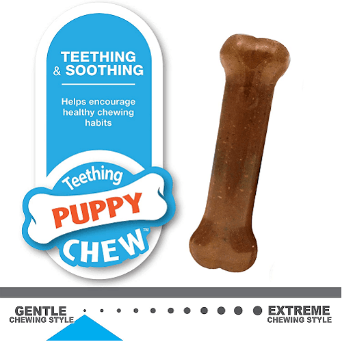 Dog Chew Toy - Puppy Chew - Puppy Starter Kit - J & J Pet Club - Nylabone
