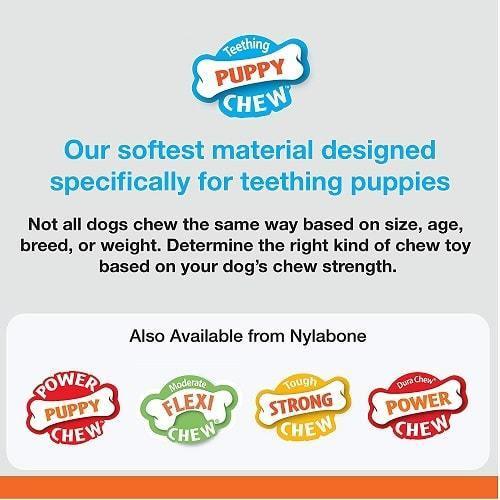 Dog Chew Toy - Puppy Chew - Puppy Teething Pacifier (Bacon Flavor) - J & J Pet Club - Nylabone