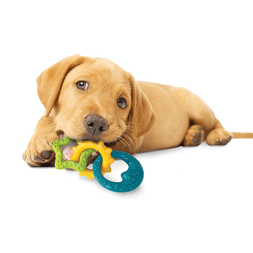 Dog Chew Toy - Puppy Chew - Puppy Teething Rings (Bacon Flavor) - J & J Pet Club - Nylabone