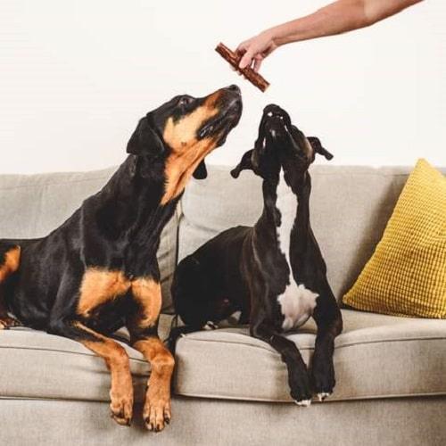 Dog Chewing Treat - Bully Stick - 6" - 1 pc - J & J Pet Club - Hero Dog Treats