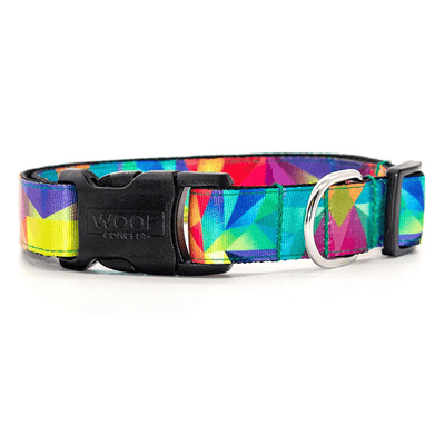 Dog Collar - ADVENTURE COLLECTION - Polygon - J & J Pet Club - Woof Concept