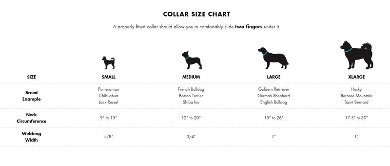 Dog Collar - IKONIC COLLECTION - Ultra - J & J Pet Club - Woof Concept