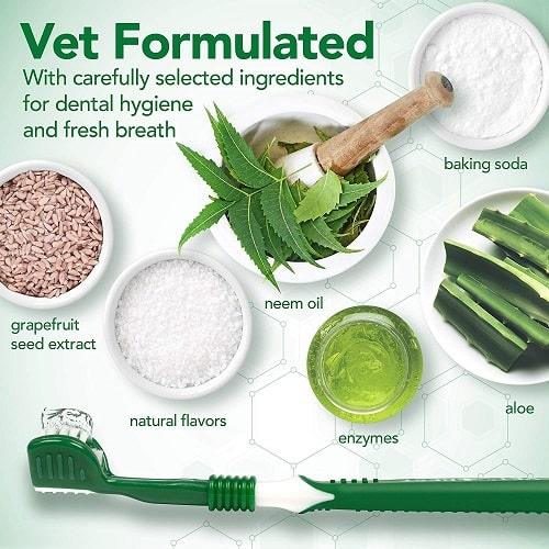 Dog Dental Care - Dog Toothbrush & Enzymatic Toothpaste Set - J & J Pet Club - Vet's Best