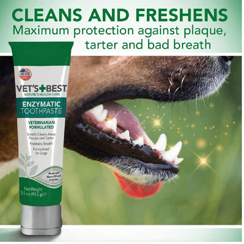 Dog Dental Care - Enzymatic Dog Toothpaste - J & J Pet Club - Vet's Best