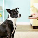 Dog Dental Chew - Medium Brushless Toothpaste - for dogs 20 to 40 lbas - 18 oz - J & J Pet Club - Ark Naturals