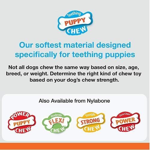 Dog Dental Chew Toy - Puppy Chew - Puppy Dental Bone (Chicken Flavor) - J & J Pet Club - Nylabone