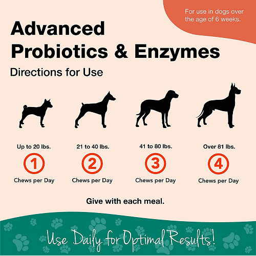 Dog Digestive Supplement - Advanced Probiotics & Enzymes Soft Chew (Plus Vet Strength PB6 Probiotic) - 70 ct cup - J & J Pet Club - Naturvet