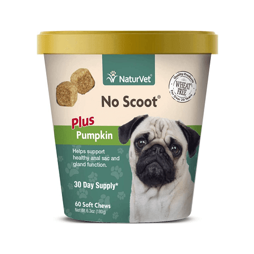 Dog Digestive Supplement - No Scoot Soft Chew (Plus Pumpkin) - 60 ct cup - J & J Pet Club - Naturvet