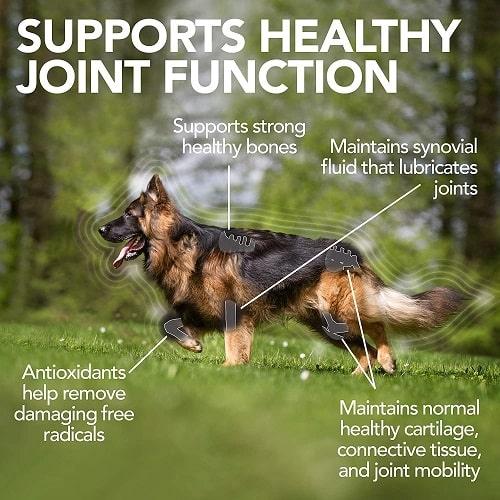 Dog Hip & Joint Supplement - Level 3 Advanced Hip & Joint Tablets - 90 cts - J & J Pet Club - Vet's Best