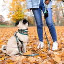 Dog Leash - Cozy Plaid - 6 ft - J & J Pet Club - Bcuddly