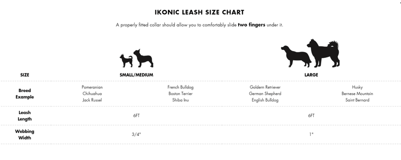 Dog Leash - IKONIC COLLECTION - Disco 2 - J & J Pet Club - Woof Concept