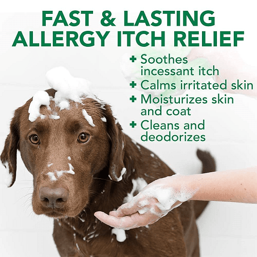 Dog Shampoo - Allergy Itch Relief - 16 fl oz - J & J Pet Club - Vet's Best