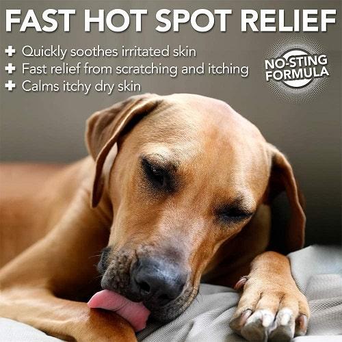 Dog Skin Care - Hot Spot Spray - 16 fl oz - J & J Pet Club - Vet's Best