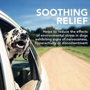 Dog Supplement - Comfort Calm Soft Chews - 30 ct - J & J Pet Club - Vet's Best