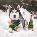 Dog Toy - Happy Hour Crusherz - Champagne - J & J Pet Club - ZippyPaws