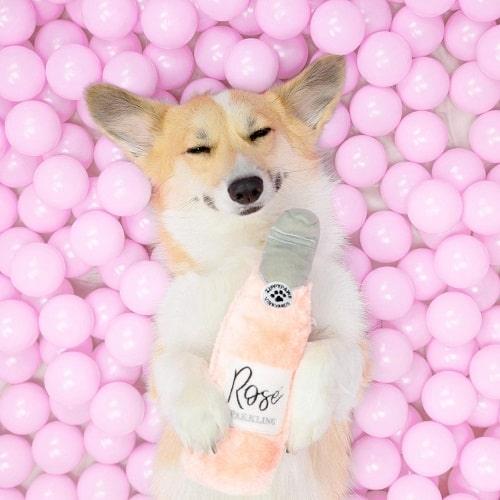 Dog Toy - Happy Hour Crusherz - Rose - J & J Pet Club - ZippyPaws