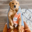 Dog Toy - Happy Hour Crusherz - Rose - J & J Pet Club - ZippyPaws