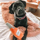 Dog Toy - Happy Hour Crusherz - Rose - J & J Pet Club - ZippyPaws