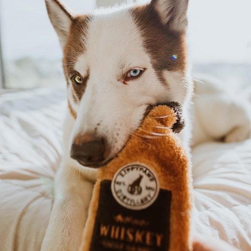 Dog Toy - Happy Hour Crusherz - Whiskey - J & J Pet Club - ZippyPaws