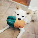 Dog Toy - Storybook Snugglerz - Carmen the Cactus - J & J Pet Club - ZippyPaws