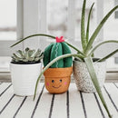 Dog Toy - Storybook Snugglerz - Carmen the Cactus - J & J Pet Club - ZippyPaws