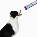 Dog Toy - Super Firehose - Gummy Bear - J & J Pet Club - HugSmart