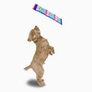 Dog Toy - Super Firehose - Gummy Bear - J & J Pet Club - HugSmart