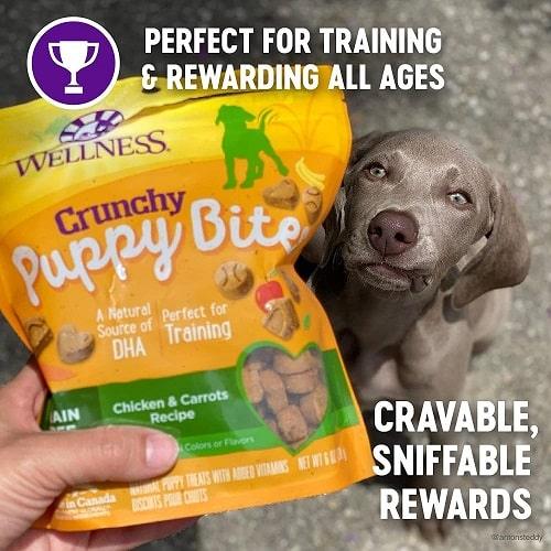 Dog Training Treat - CRUNCHY PUPPY BITES - Chicken & Carrots - 6 oz - J & J Pet Club - Wellness