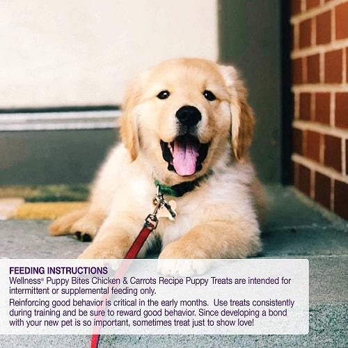 Dog Training Treat - CRUNCHY PUPPY BITES - Chicken & Carrots - 6 oz - J & J Pet Club - Wellness