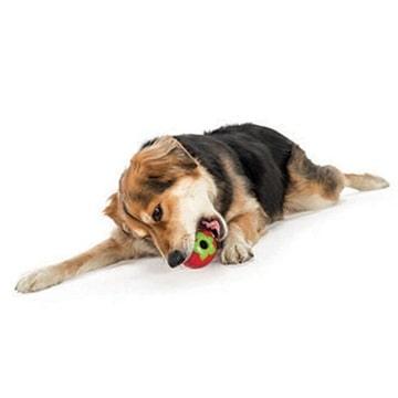 Dog Treat Dispensing Toy, Orbee-Tuff Strawberry - J & J Pet Club - Planet Dog