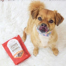 Dog Treat - Raw Coated Biscuits - Beef - 9 oz - J & J Pet Club - Stella & Chewy's