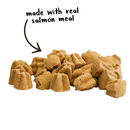 Dog Treat - TRICKY TRAINERS - Crunchy with Salmon - 8 oz - J & J Pet Club - Cloud Star