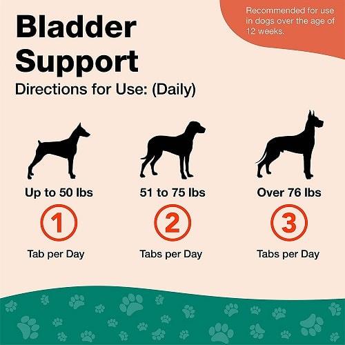 Dog Urinary Care Supplement - Bladder Support Chewable Tablets (Plus Cranberry) - 60 ct - J & J Pet Club - Naturvet