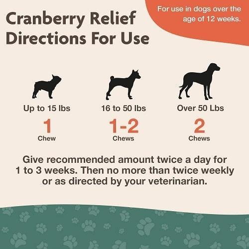 Dog Urinary Care Supplement - Cranberry Relief Soft Chew (Plus Echinacea) - 60 ct cup - J & J Pet Club - Naturvet