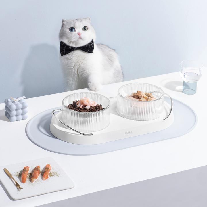 DOUBOWL Dual Pet Dinner Set - J & J Pet Club - Furrytail