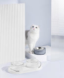 DOUBOWL Dual Pet Dinner Set - J & J Pet Club - Furrytail