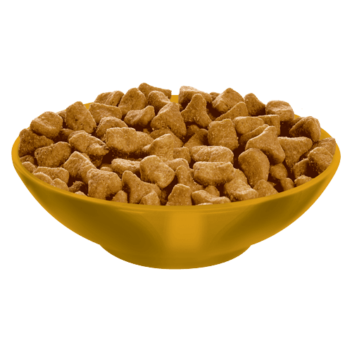 Dry Cat Food - Adult - Urinary Hairball Control - Chicken Recipe - J & J Pet Club - Hill's Science Diet