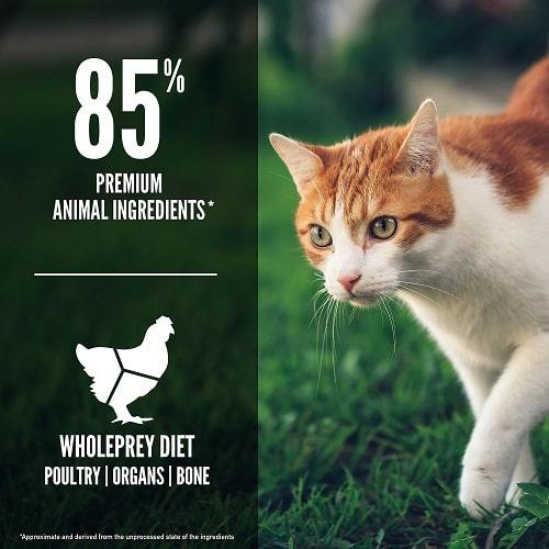 Dry Cat Food - Fit & Trim - J & J Pet Club - Orijen