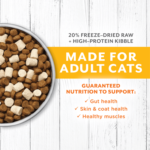 Dry Cat Food - LONGEVITY - 20% Freeze Dried Raw Meal Blend - Cage Free Chicken Recipe For Adult Cats - 3.8 lb - J & J Pet Club - Instinct