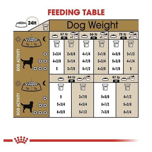 Dry Dog Food - Adult Dog - Labrador Retriever - 27 lb - J & J Pet Club - Royal Canin