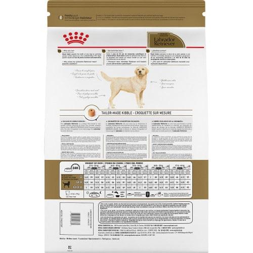 Dry Dog Food - Adult Dog - Labrador Retriever - 27 lb - J & J Pet Club - Royal Canin