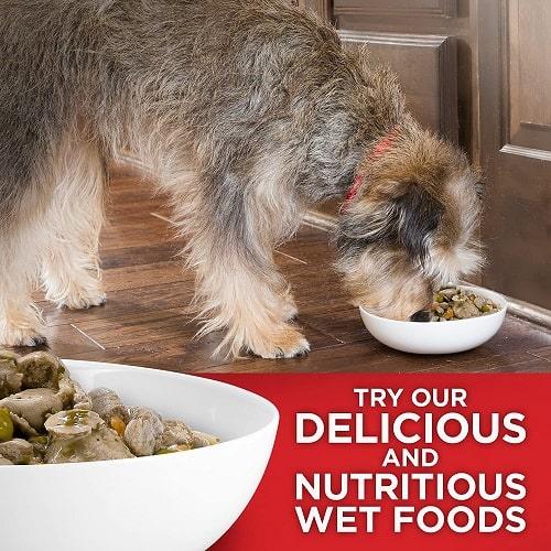 Dry Dog Food - Adult - Oral Care - Chicken, Rice & Barley Recipe - J & J Pet Club - Hill's Science Diet