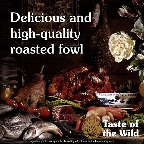 Dry Dog Food - Ancient Wetlands Recipe with Roasted Fowl - J & J Pet Club - Taste of the Wild